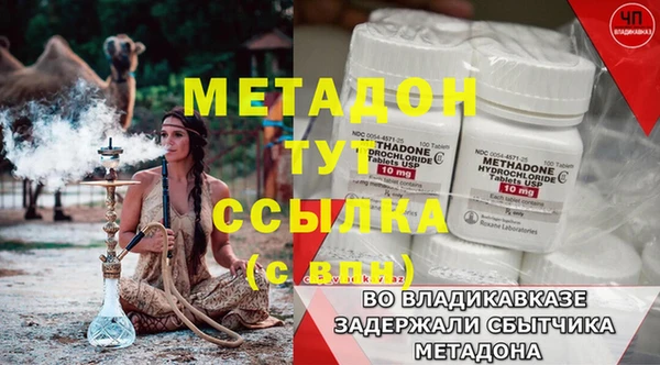 трава Аркадак