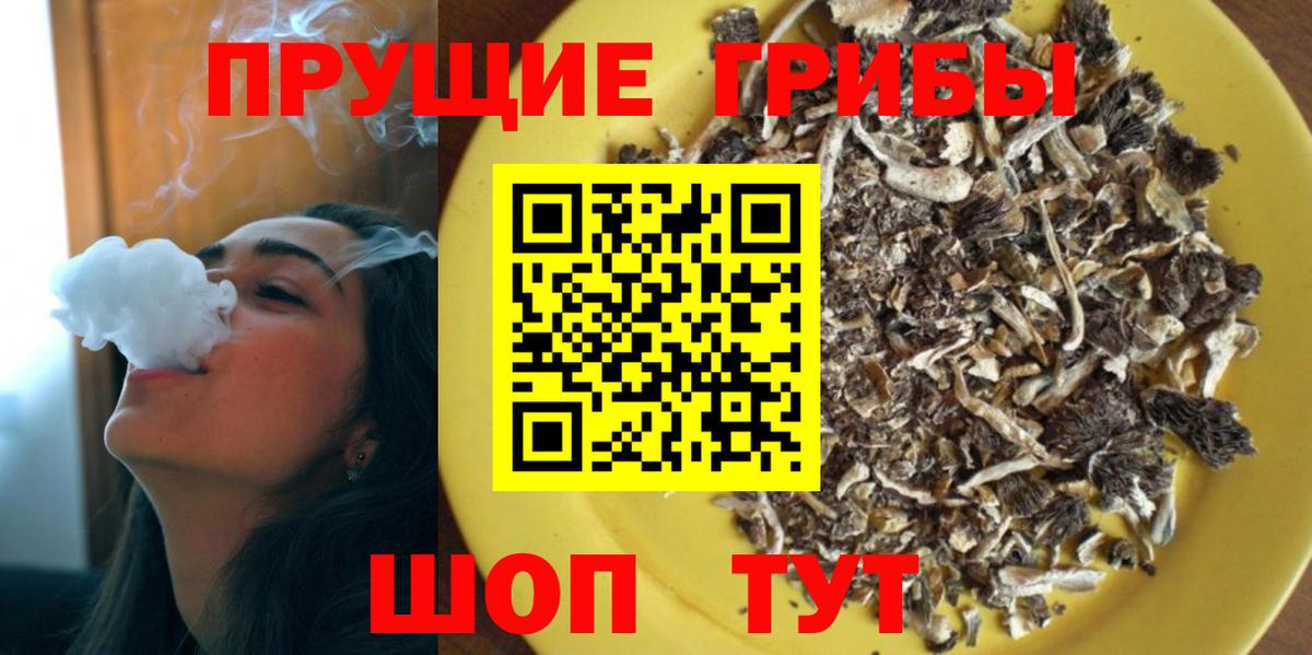 Галлюциногенные грибы Cubensis Георгиевск