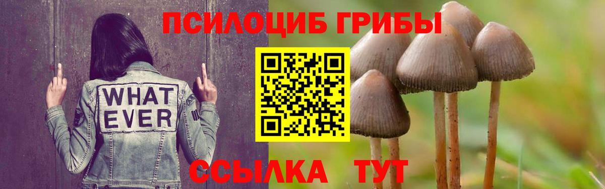 что такое наркотик  Вход с VPN  Георгиевск  Галлюциногенные грибы прущие грибы 