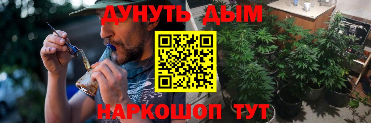 Бошки марихуана план Георгиевск